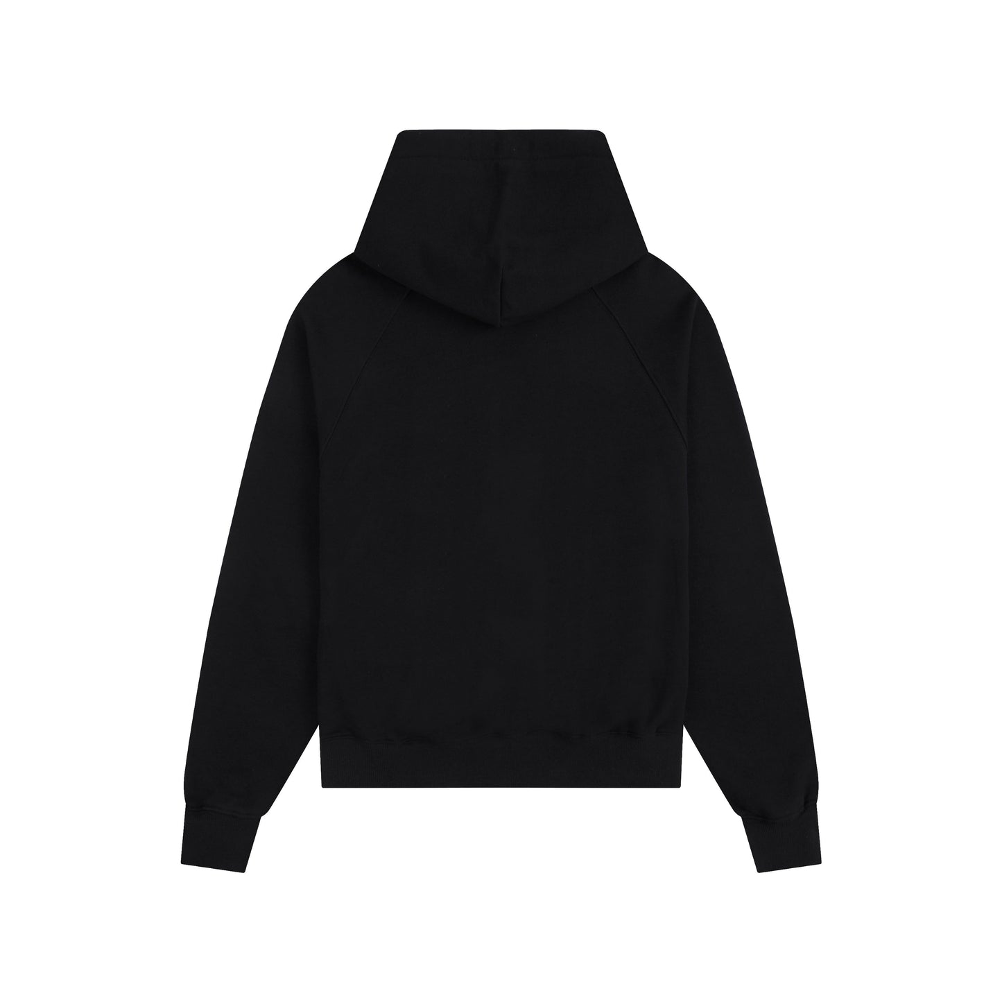 Ami Hoddie 309